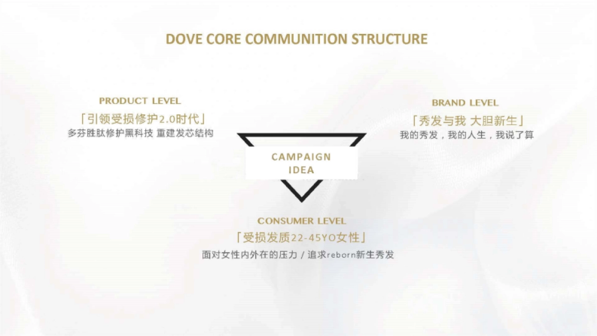2021多芬品牌传播策略案-76P_第4页