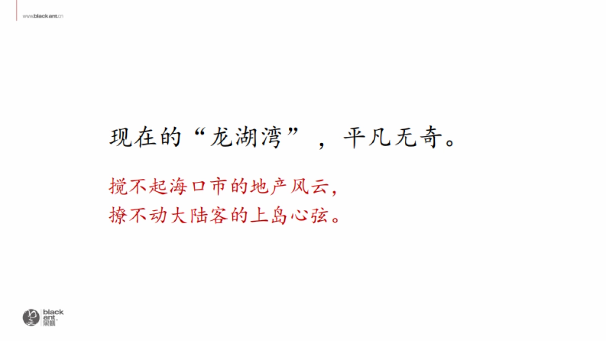 绿城海南桃李别院品牌传播策略案_第3页