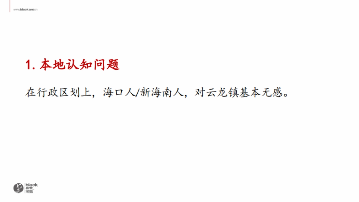 绿城海南桃李别院品牌传播策略案_第4页