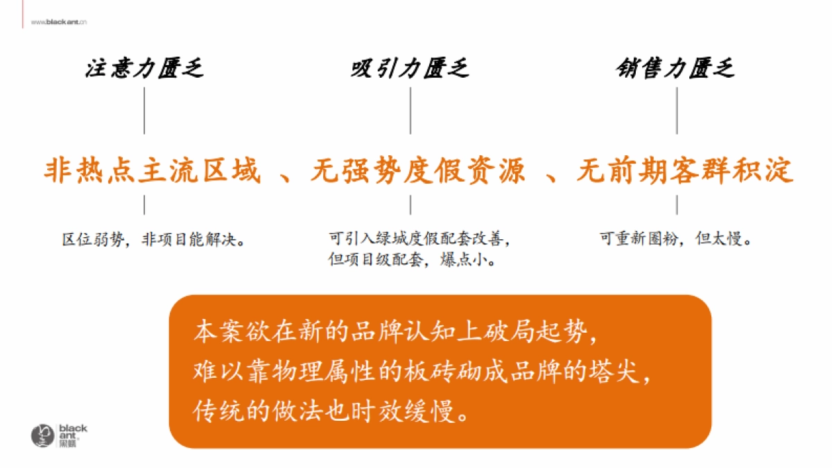 绿城海南桃李别院品牌传播策略案_第9页