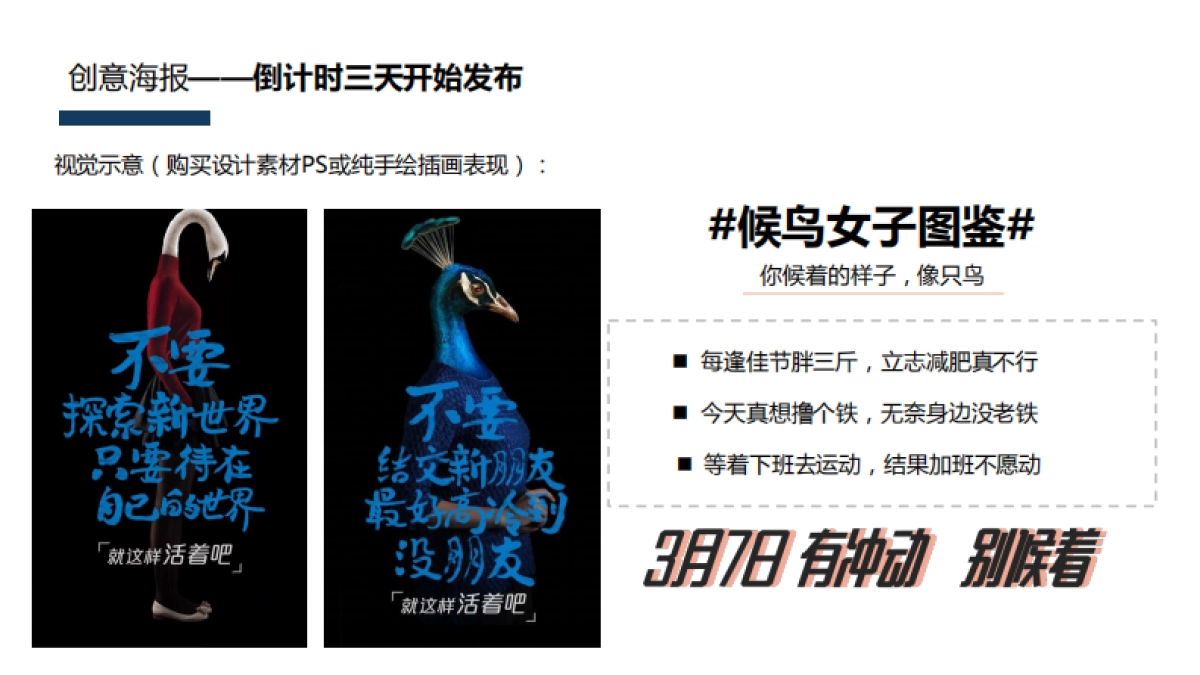 安踏：2019女子social传播方案提报 _第10页