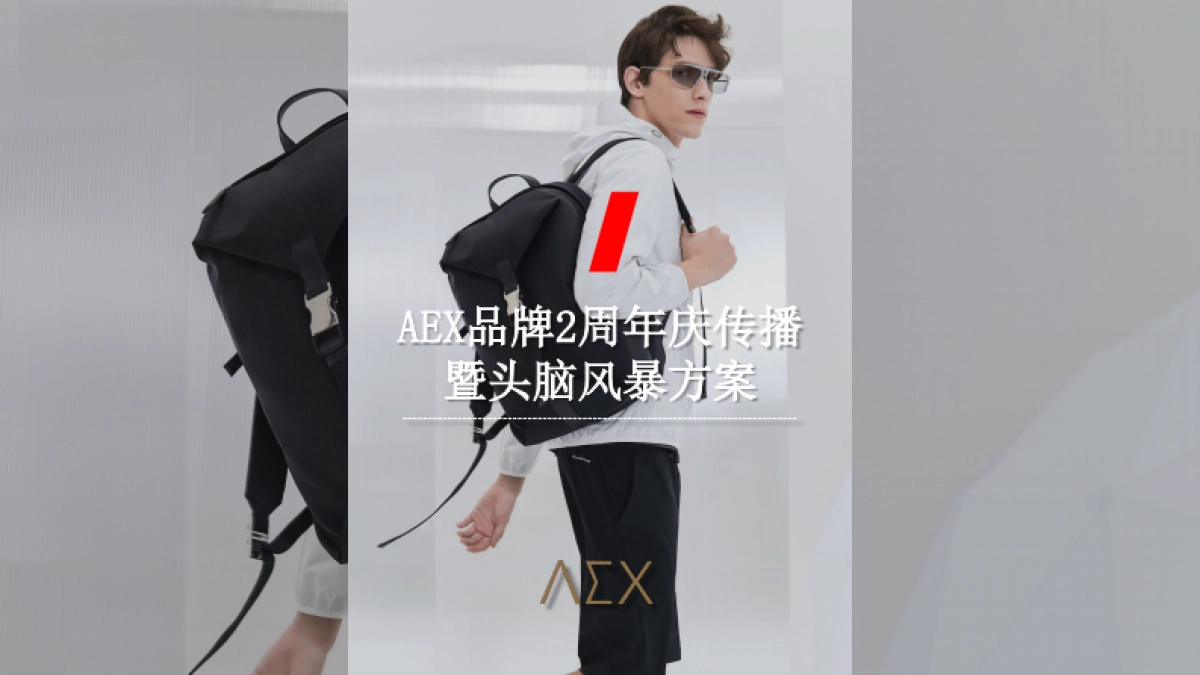 奥美-AEX男装品牌2周年庆传播暨头脑风暴方案 _第2页
