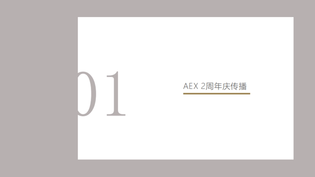 奥美-AEX男装品牌2周年庆传播暨头脑风暴方案 _第3页