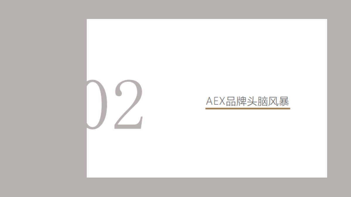 奥美-AEX男装品牌2周年庆传播暨头脑风暴方案 _第4页