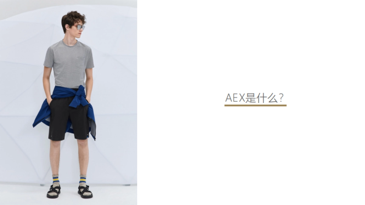 奥美-AEX男装品牌2周年庆传播暨头脑风暴方案 _第5页