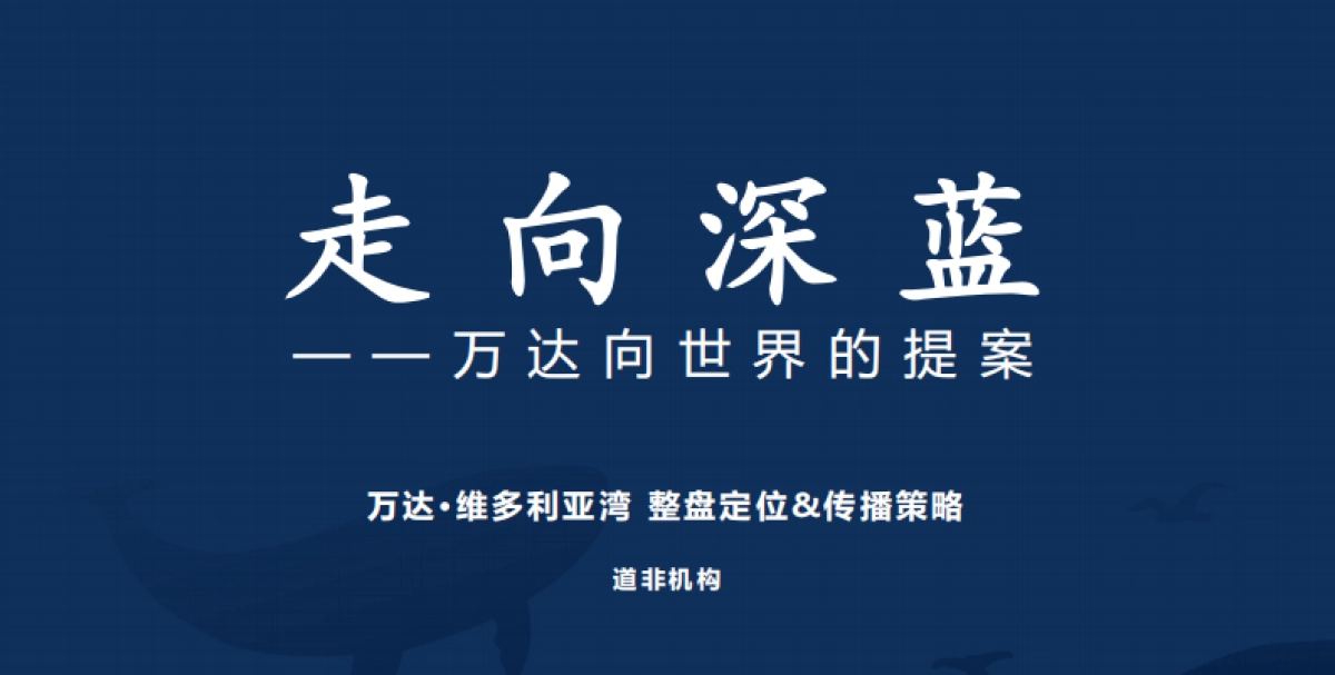 道非—万达维多利亚湾整盘定位传播策略_第3页