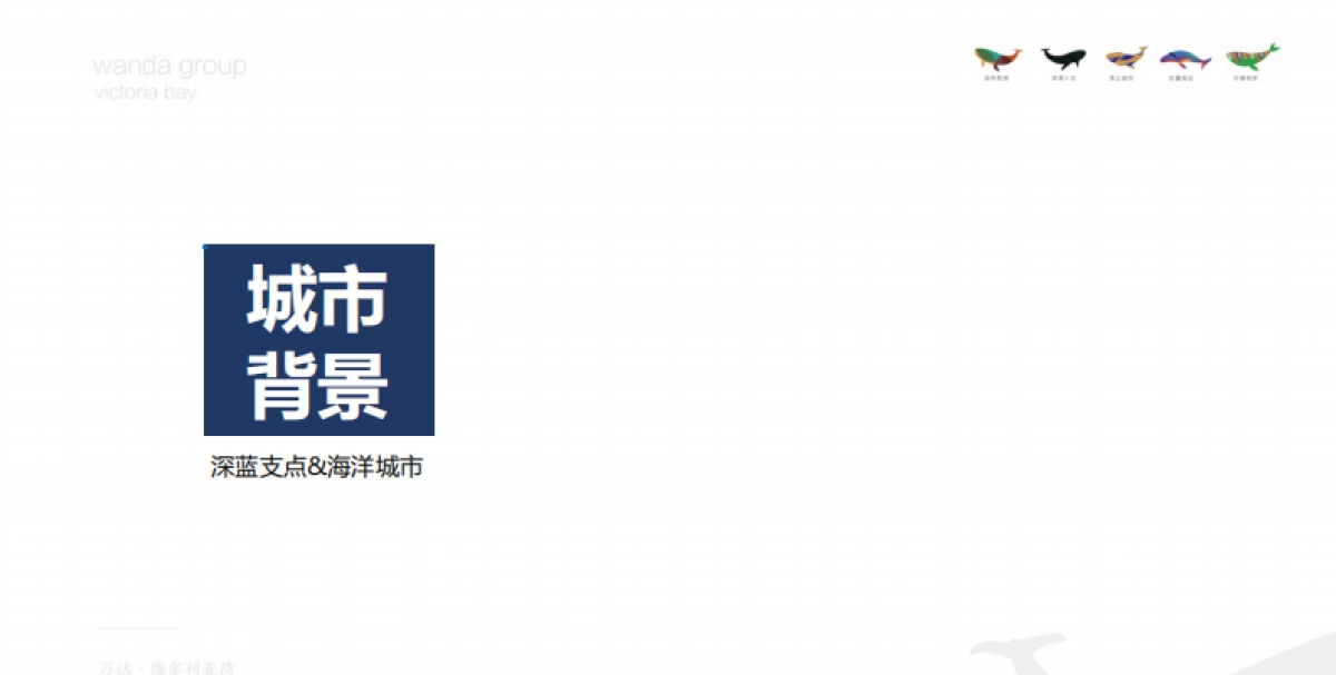 道非—万达维多利亚湾整盘定位传播策略_第5页