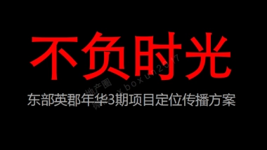 东部英郡华假日广场项目定位传播方案