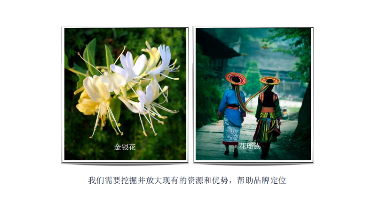 护肤化妆品牌花瑶花2017年度品牌定位传播案_第10页