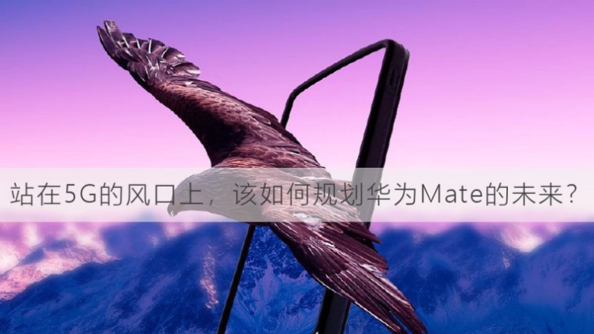 华为Mate40系列年度PR传播方案_第2页