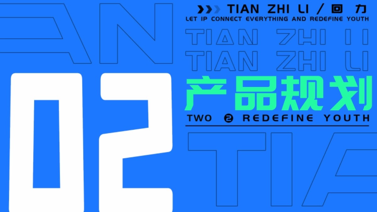 回力项目品牌传播规划_第5页