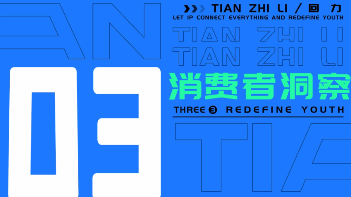 回力项目品牌传播规划_第7页