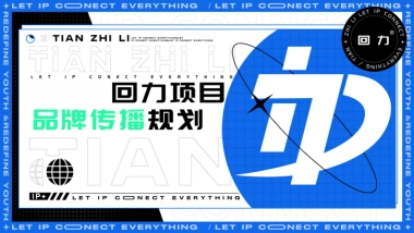 回力项目品牌传播规划