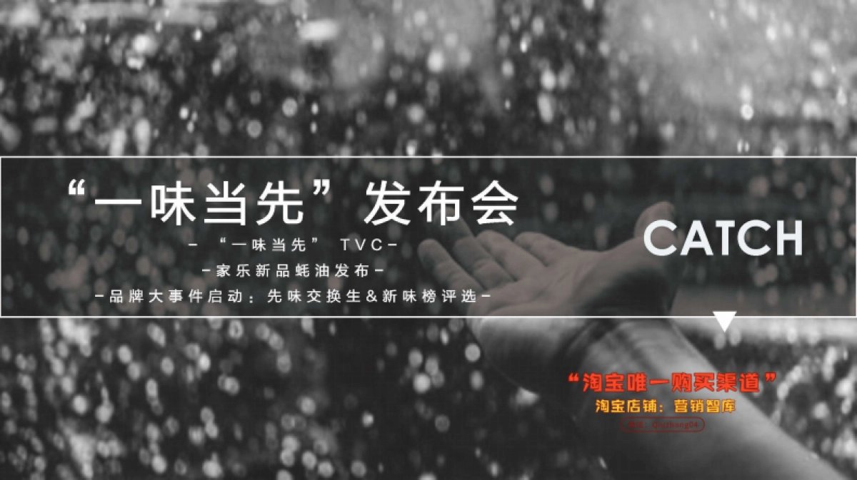 家乐蚝油20192020传播规划案_第6页