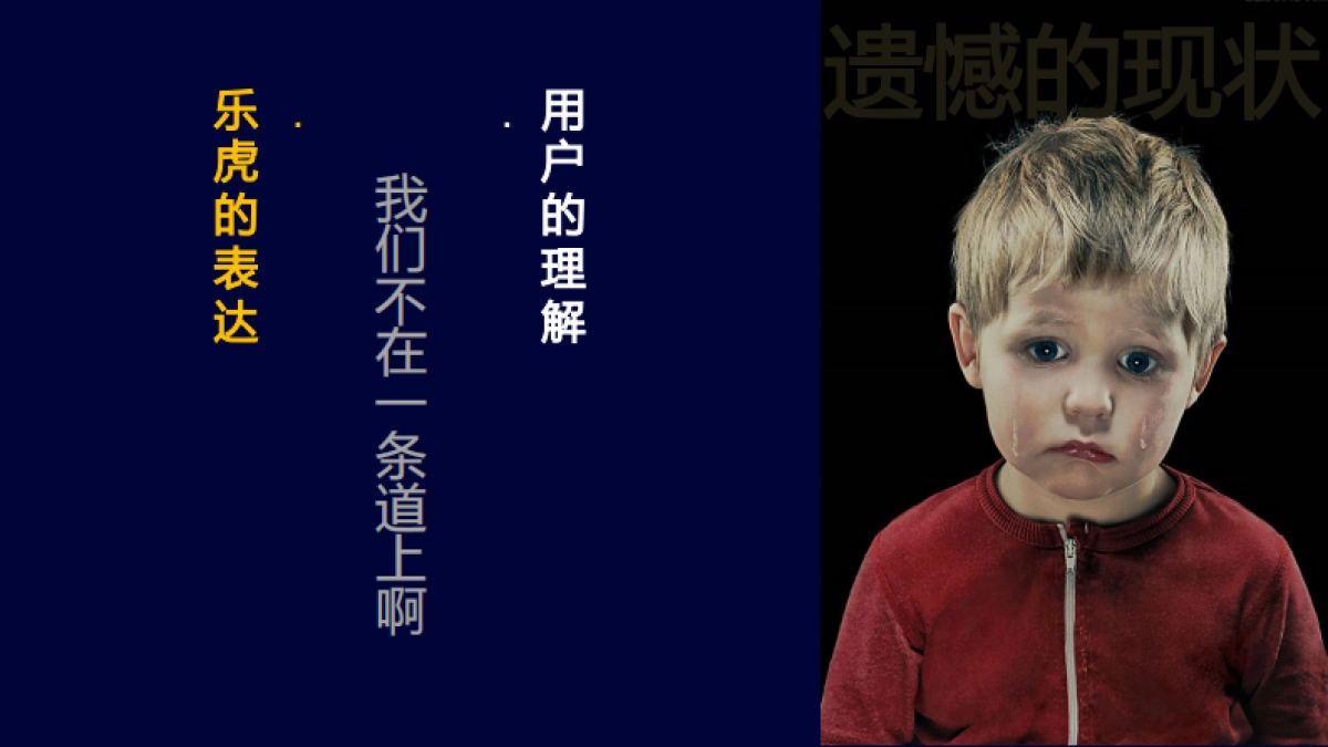 乐虎功能饮料品牌传播规划方案_第6页