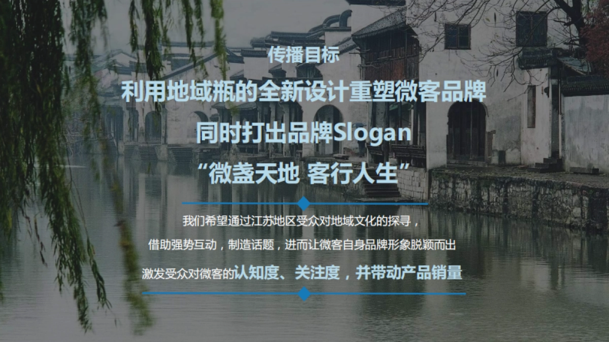 时趣互动-洋河微客地域瓶传播方案_第2页