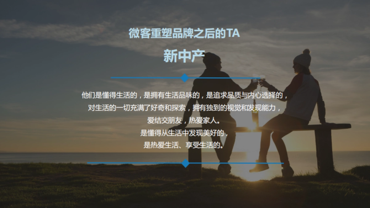 时趣互动-洋河微客地域瓶传播方案_第3页