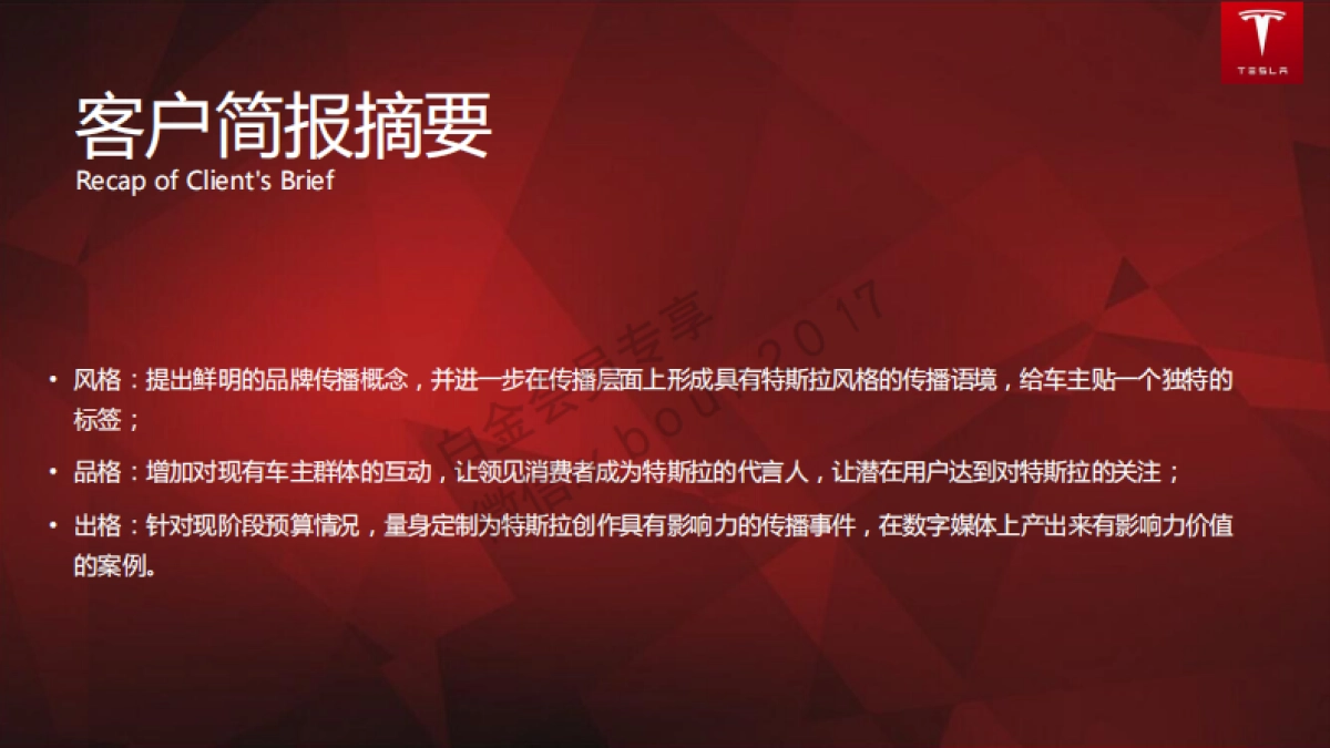 特斯拉（中国）品牌传播建议方案_第2页
