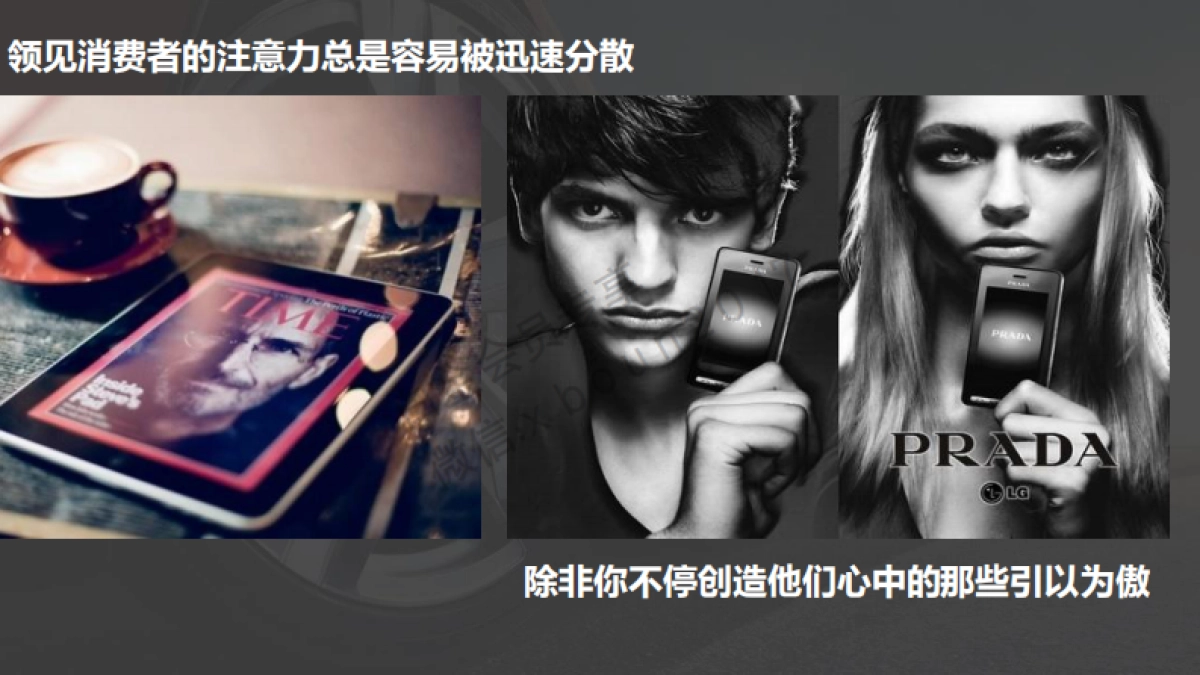 特斯拉（中国）品牌传播建议方案_第8页