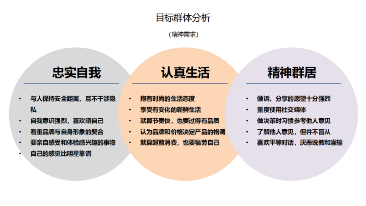 统帅社会化传播方案-舜风传播_第10页