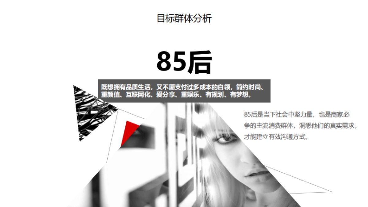 统帅社会化传播方案-舜风传播_第6页