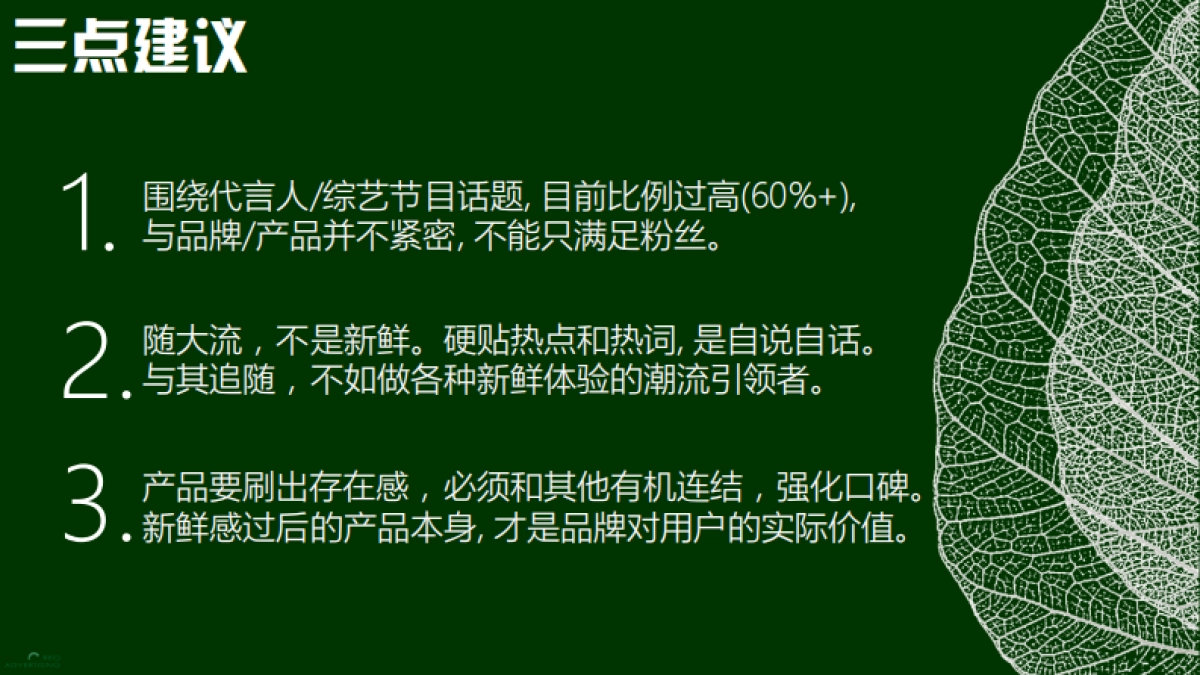 一叶子SNS品牌传播策略_第10页