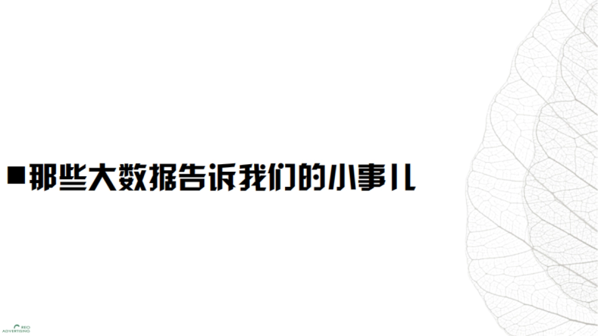 一叶子SNS品牌传播策略_第3页