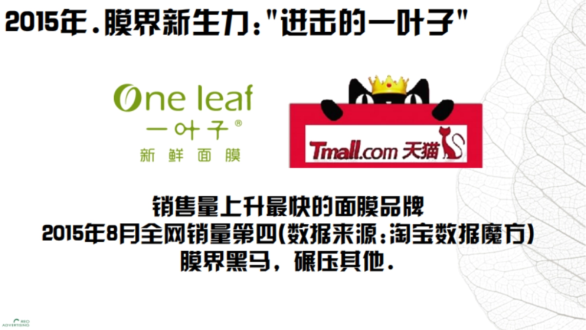 一叶子SNS品牌传播策略_第4页