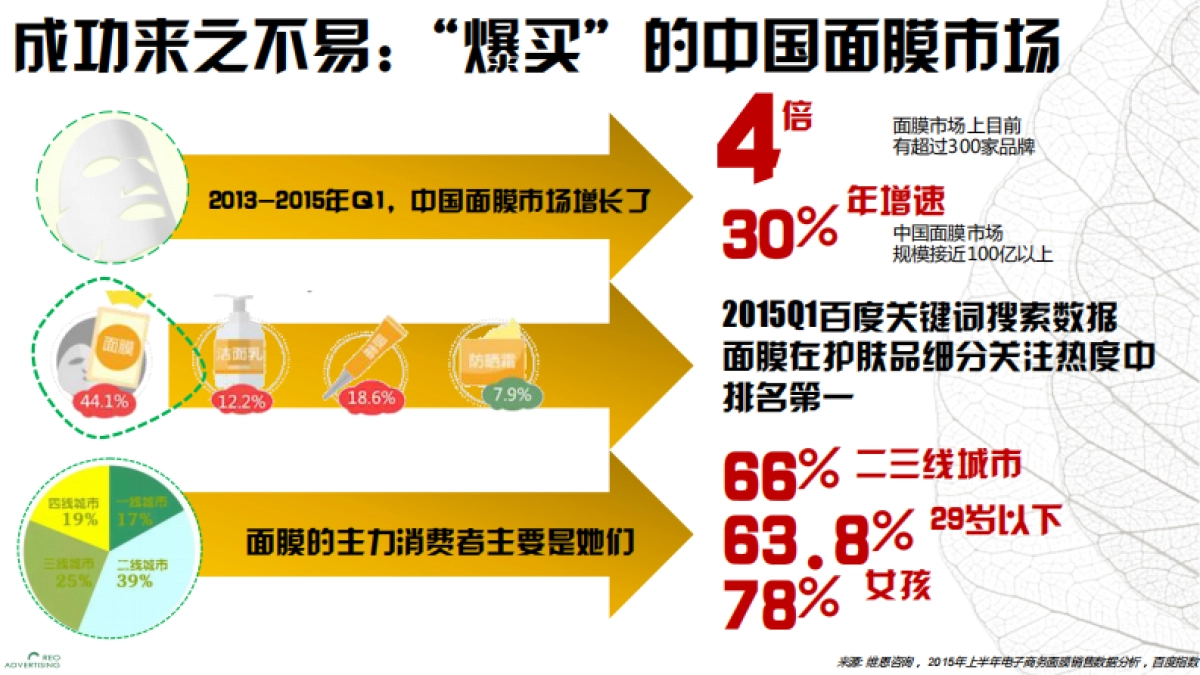 一叶子SNS品牌传播策略_第5页