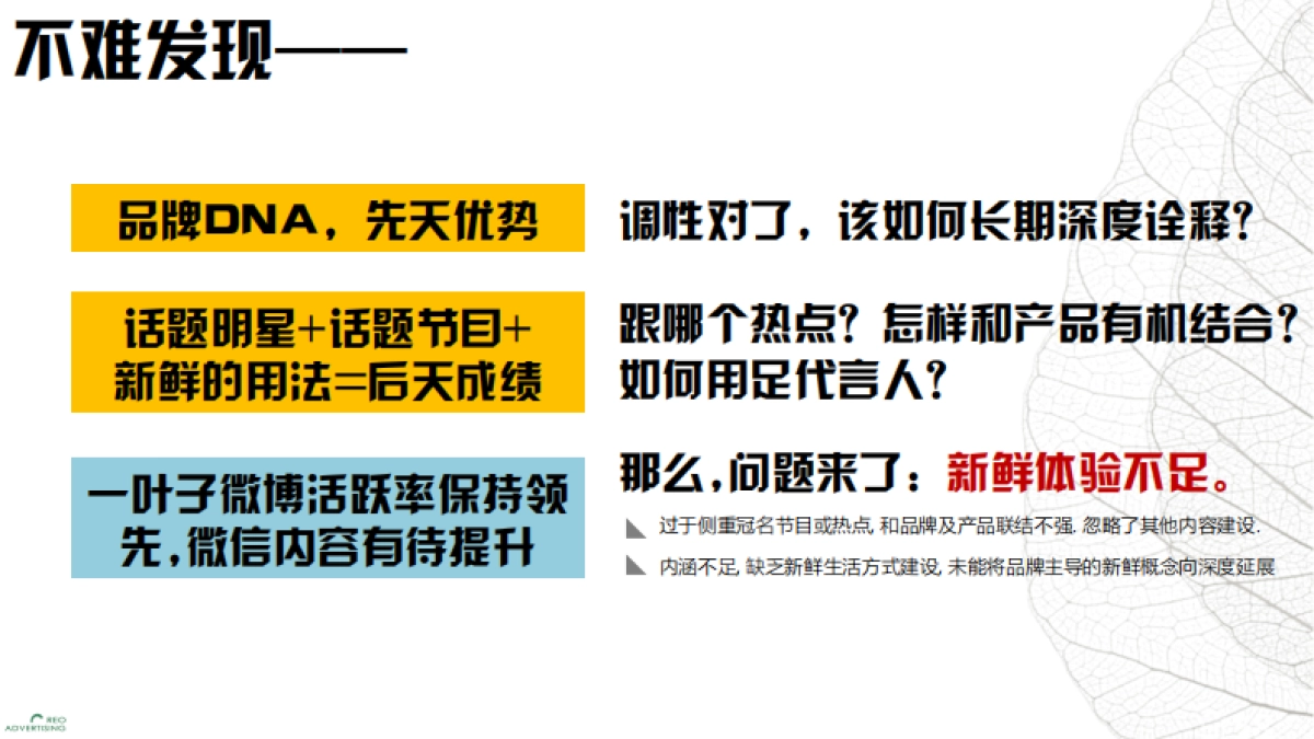 一叶子SNS品牌传播策略_第9页