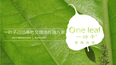 一叶子SNS品牌传播策略