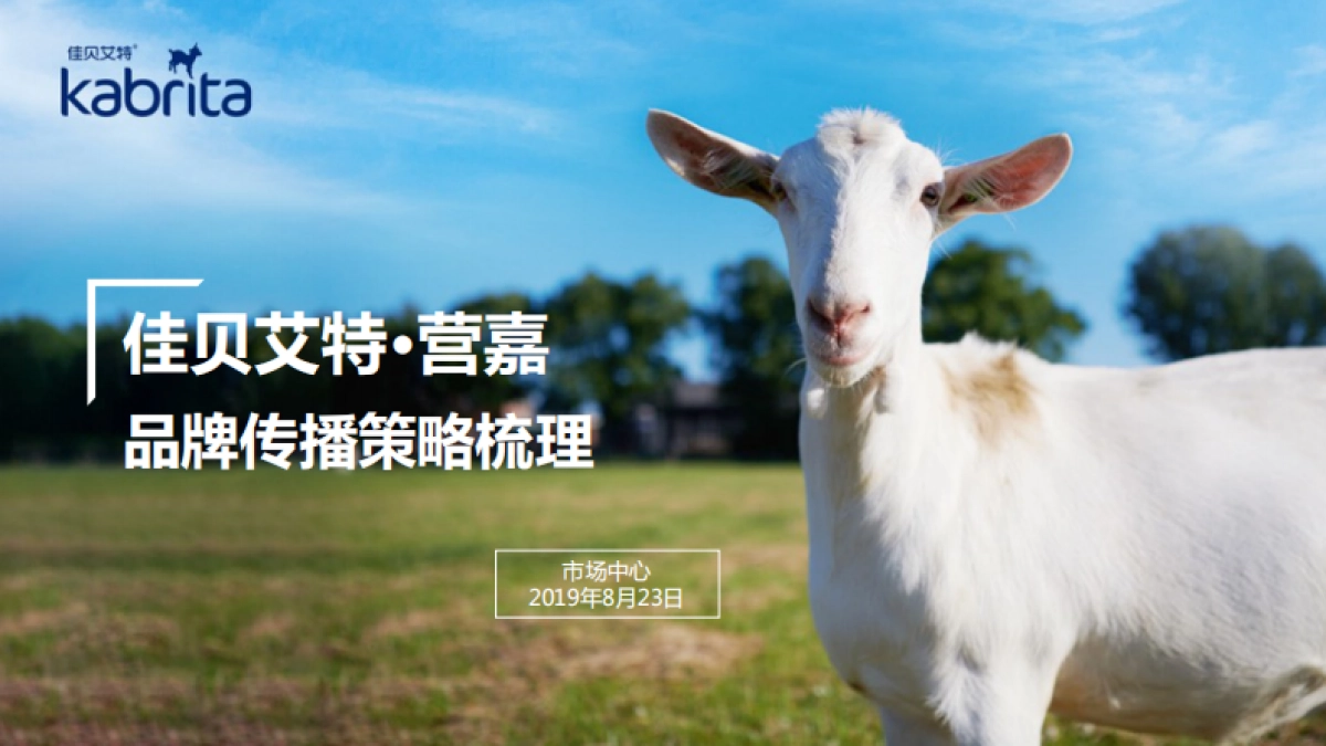 营嘉奶粉品牌传播策略梳理_第1页