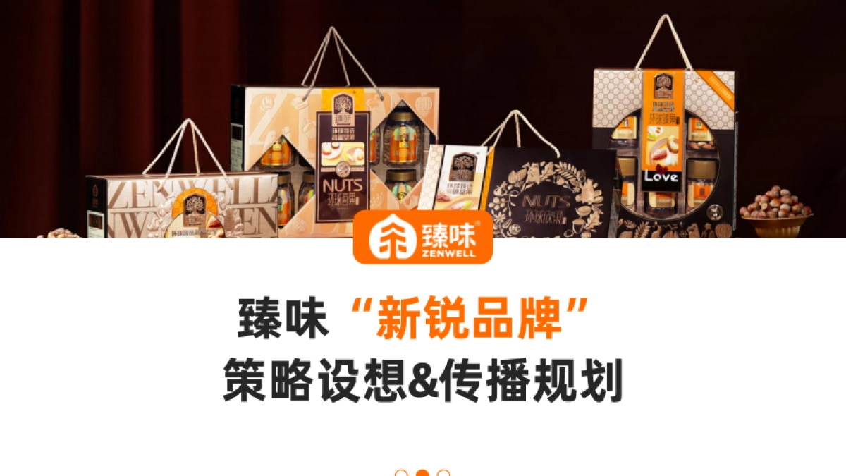 臻味坚果礼盒“新锐品牌”传播规划方案_第1页