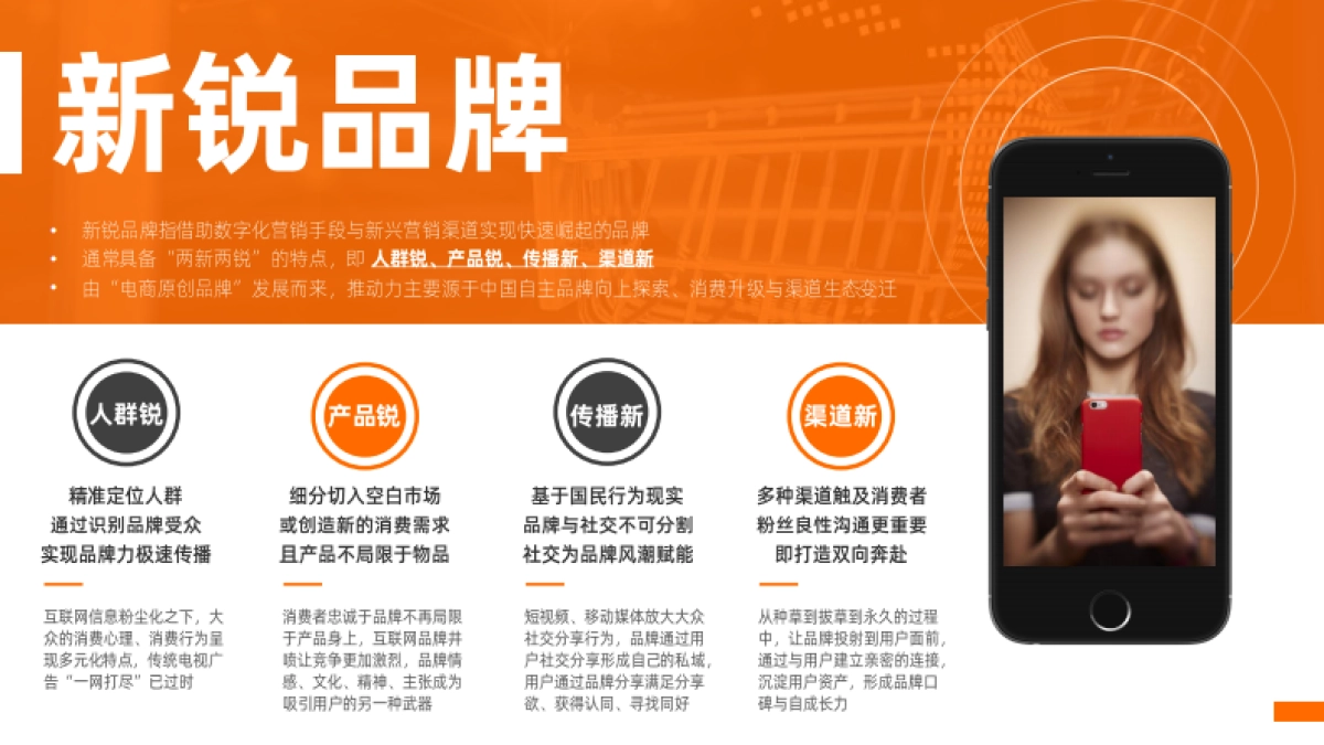 臻味坚果礼盒“新锐品牌”传播规划方案_第3页