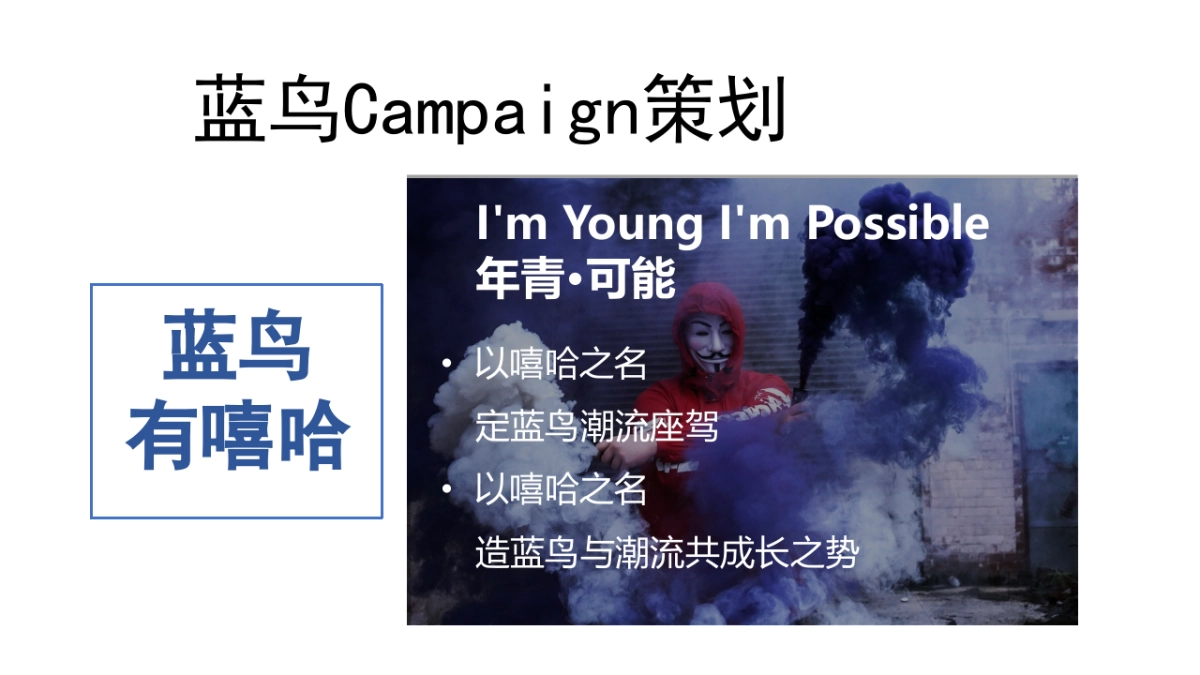 2017蓝鸟试驾（蓝鸟有嘻哈 潮玩乐开趴主题）传播策划方案_第4页