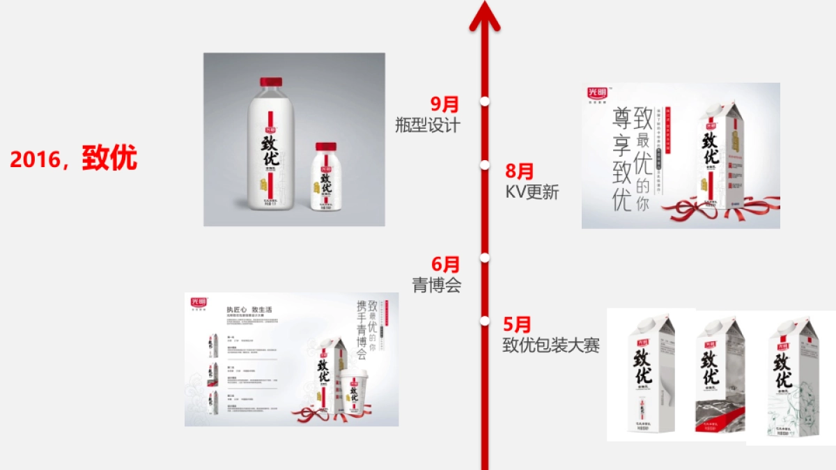 2017年致优鲜牛奶品牌传播策略_第5页