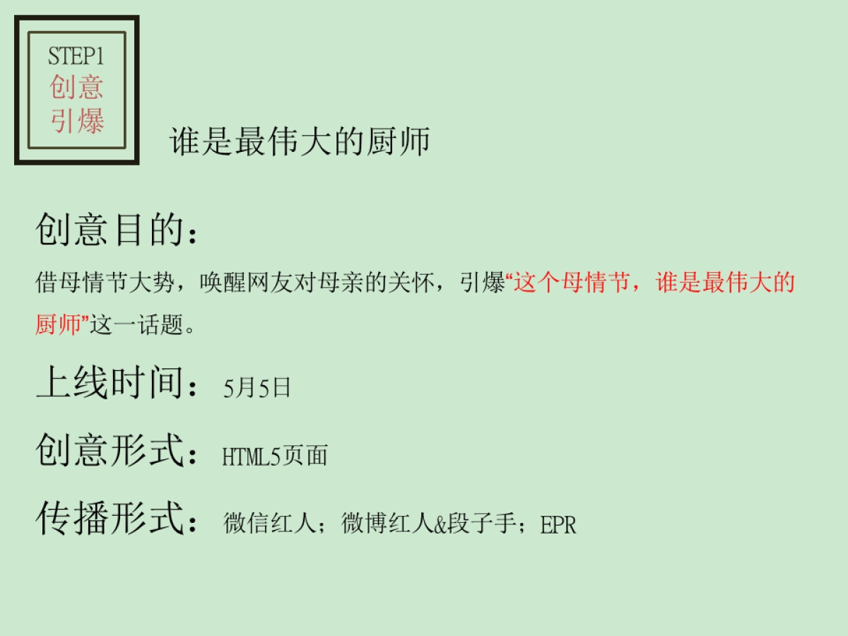 2018东芝厨电母情节传播方案_第10页