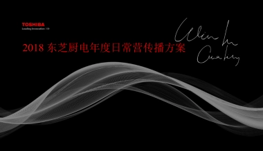2018东芝厨电年度日常传播方案finally