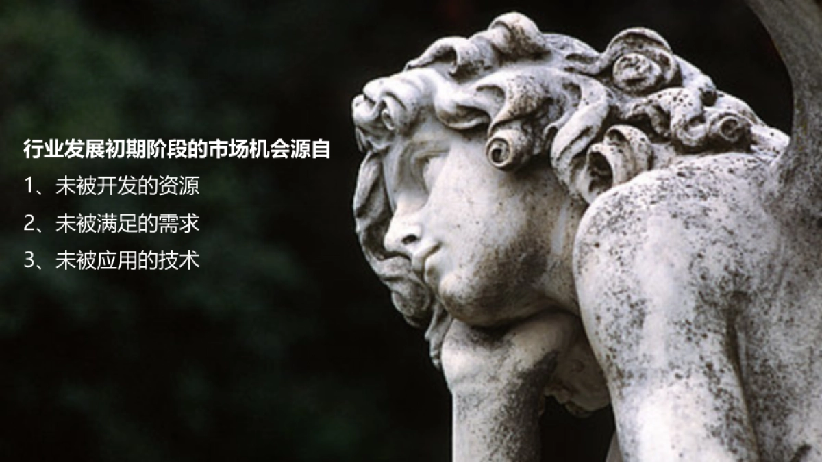 2018立升全年传播方案_第3页