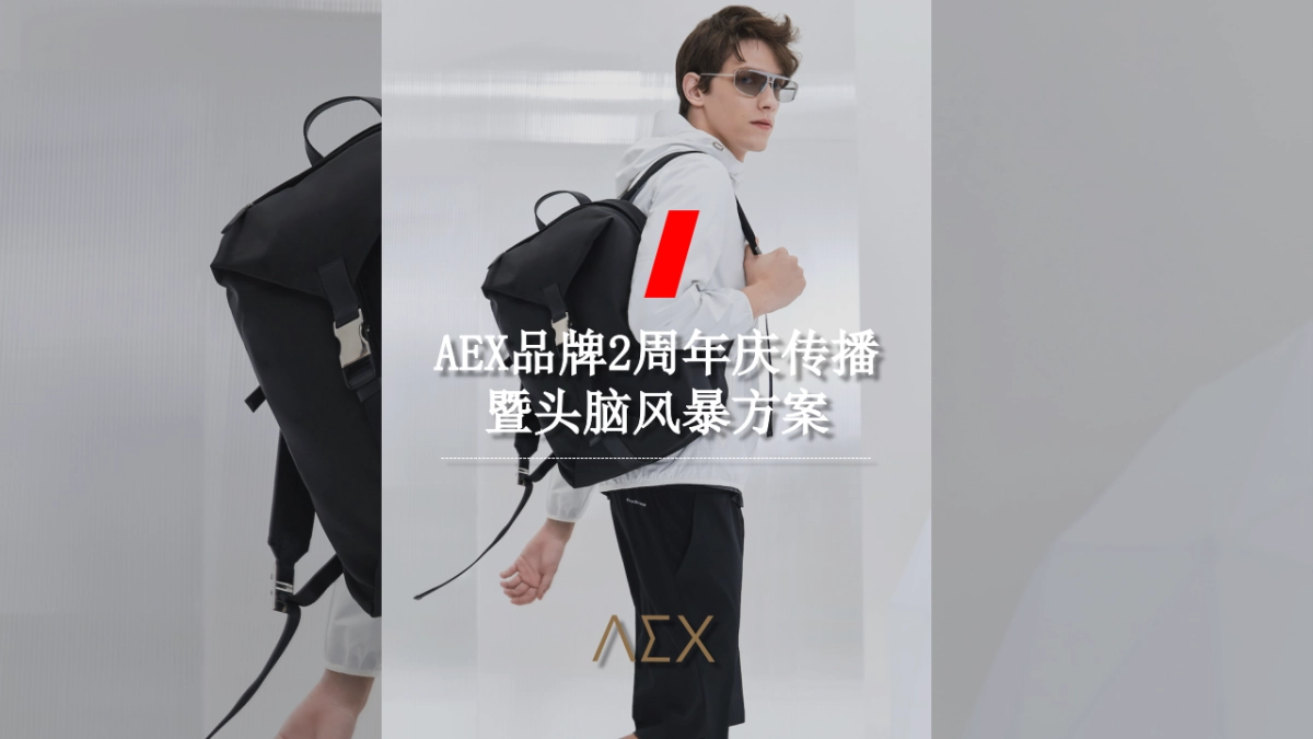 2019奥美-AEX男装品牌2周年庆传播暨头脑风暴方案_第2页
