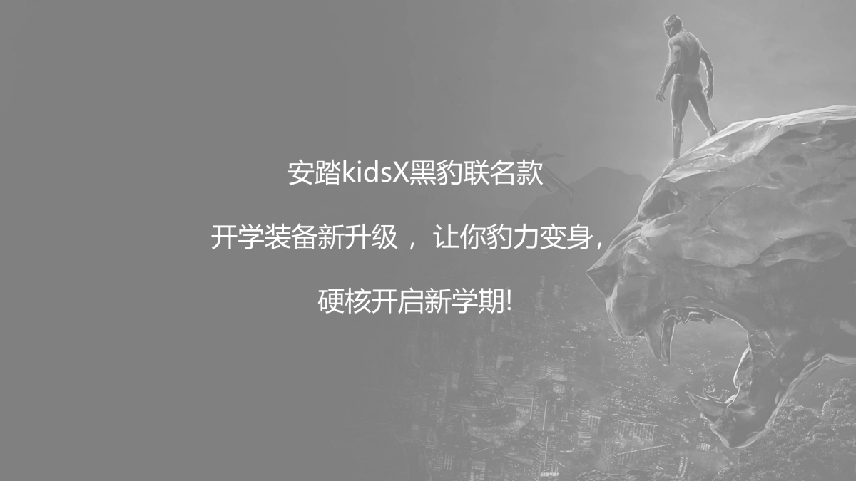 2020安踏儿童黑豹商品传播方案_第4页
