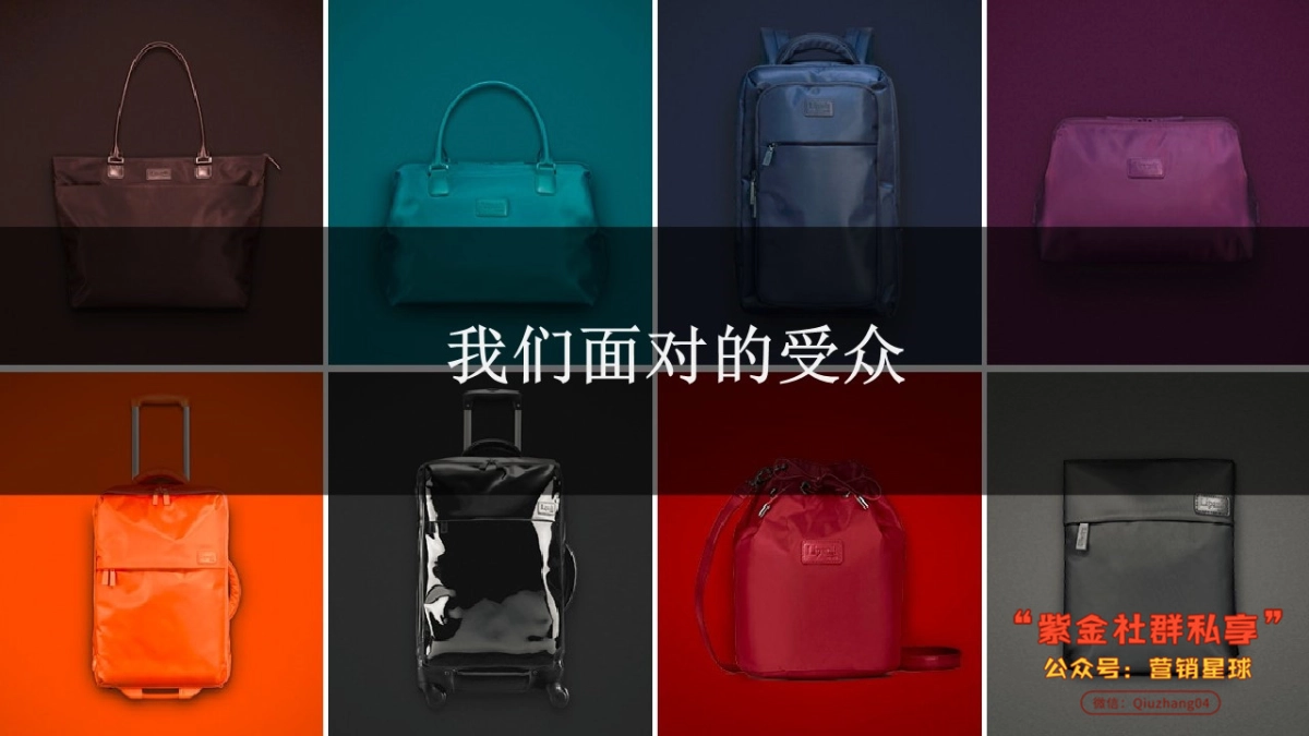 Lipault 法国箱包品牌年度传播策略RED WINGS传播_第2页