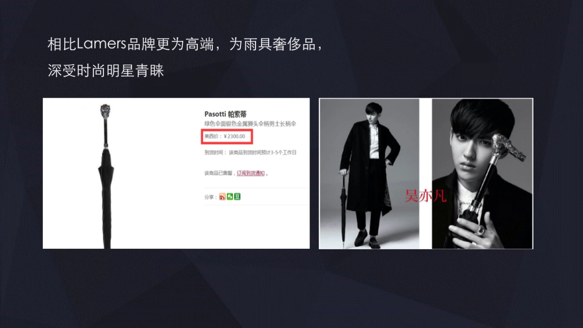 博观保利庐山林语陶渊明的山入市传播策略_第9页