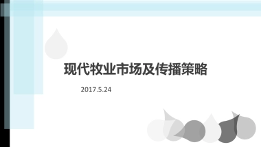 现代牧业 市场传播策略及传播