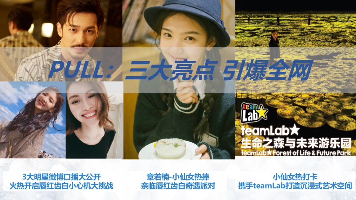 佳洁士crest jas 媒体传播方案_第2页