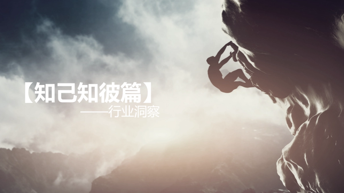 联想优土传播建议案_第2页