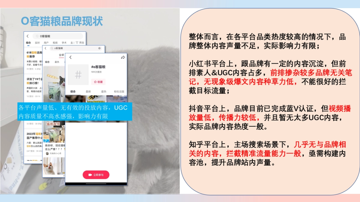猫粮品牌线上传播策略案_第10页