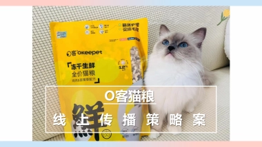 猫粮品牌线上传播策略案