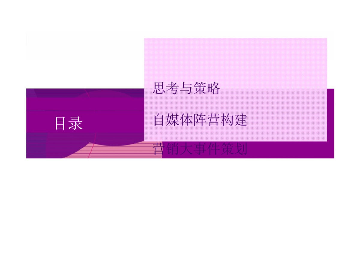 妙品牌社会化媒体传播方案_第2页