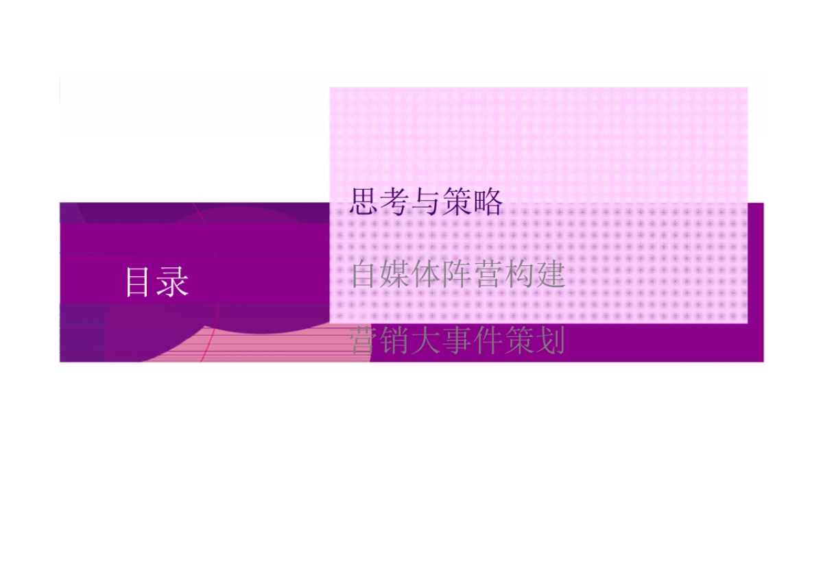 妙品牌社会化媒体传播方案_第3页